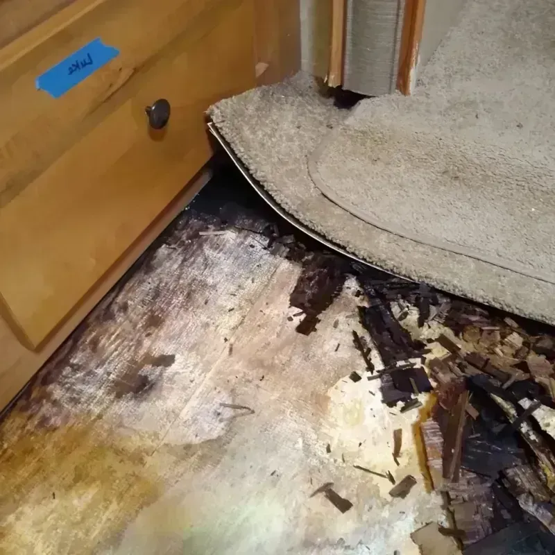 Wood Floor Water Damage in Forest County, PA